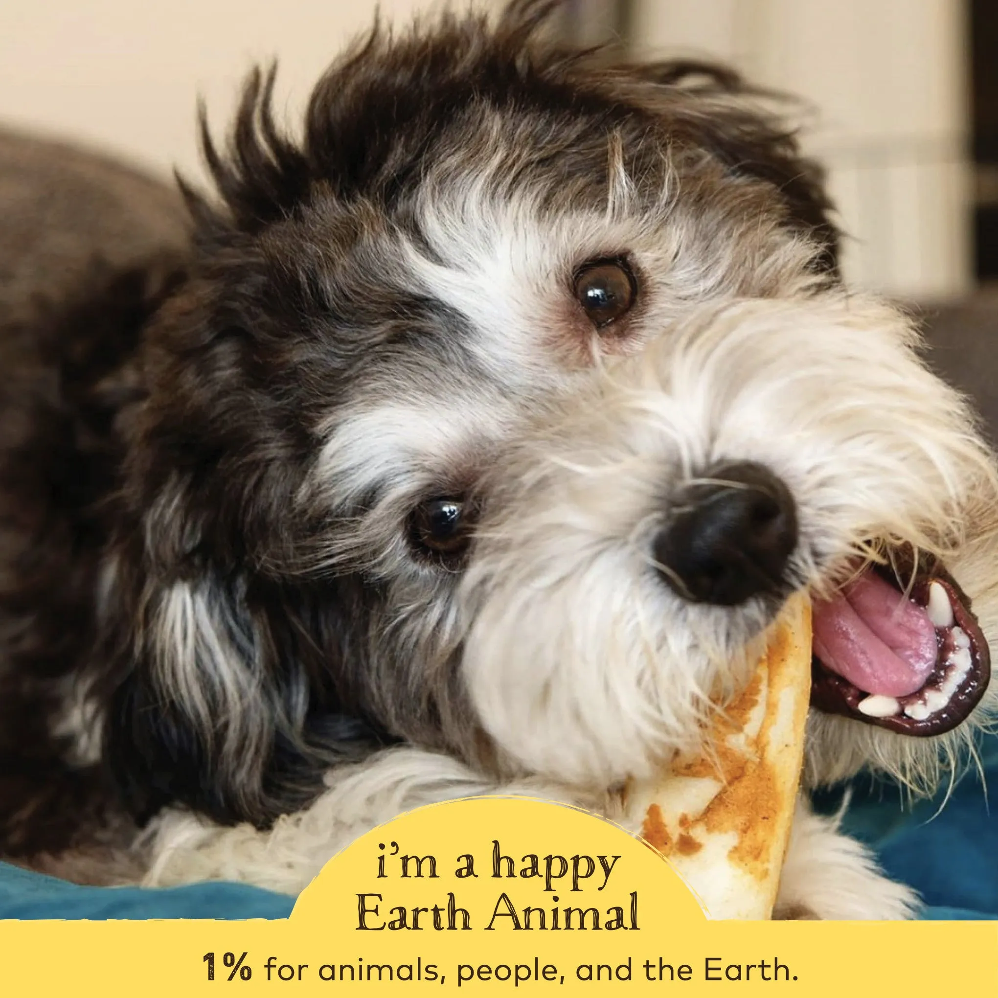 Earth Animal No-Hide Peanut Butter Single Chew for Dogs