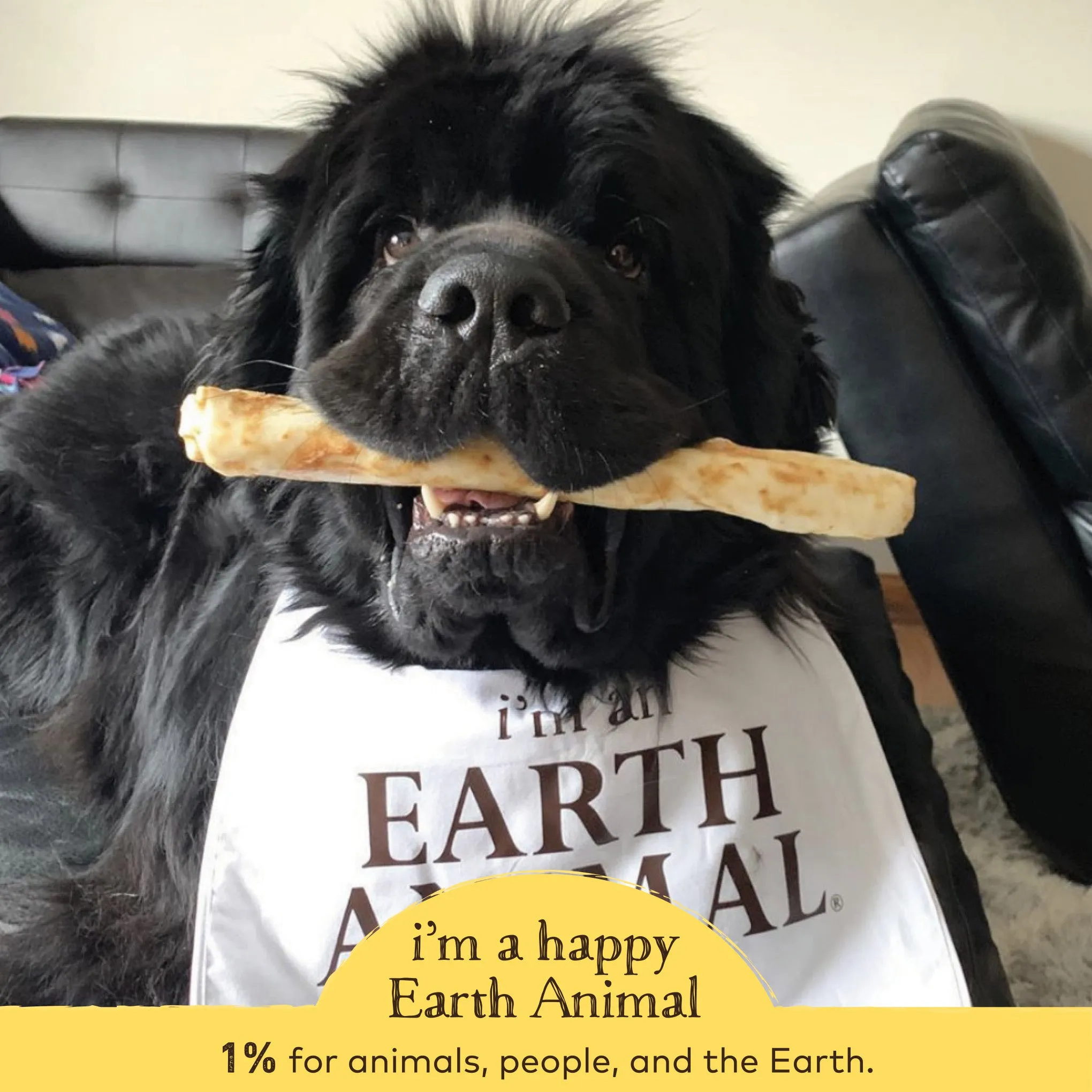 Earth Animal No-Hide Peanut Butter Single Chew for Dogs