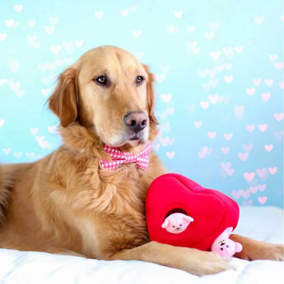 Hearts and Bears Burrow Puzzle Dog Toy