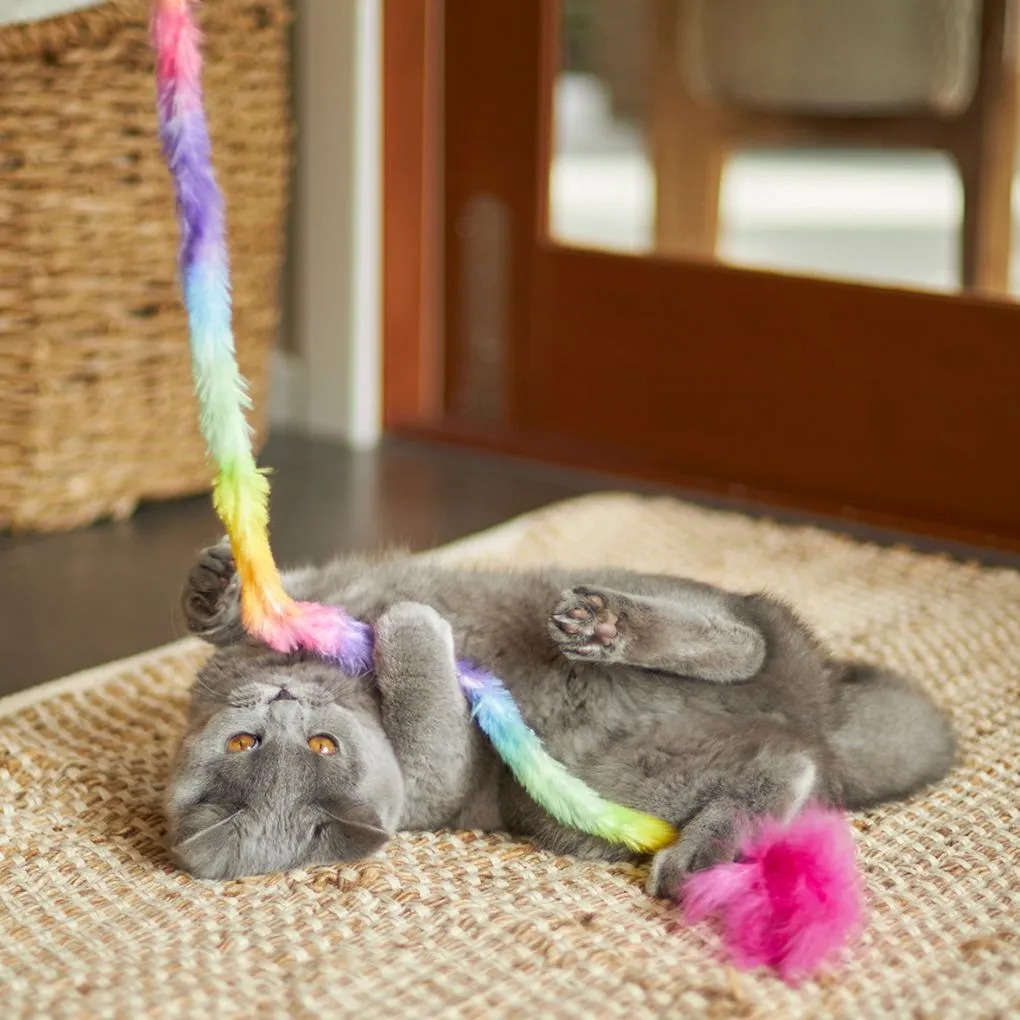 Fluffy Rainbow-Tailed Kazoo Cat Toy