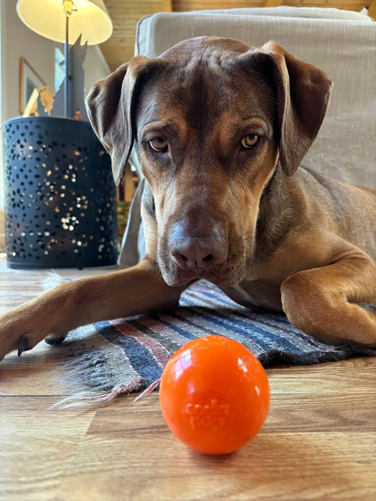 Squeak Ball Ultra Durable PUP-X Squeaking, Chewing, Floating & Retrieving Ball