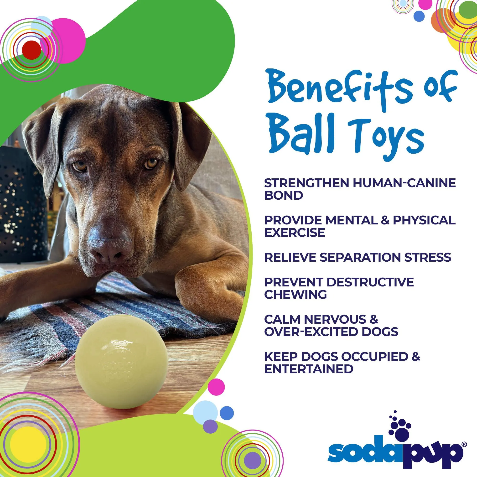 Squeak Ball Ultra Durable PUP-X Squeaking, Chewing, Floating & Retrieving Ball