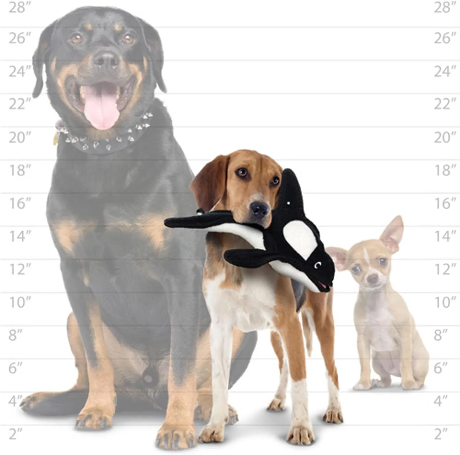 Tuffy Kinley the Killer Whale - World's Tuffest Soft Dog Toy