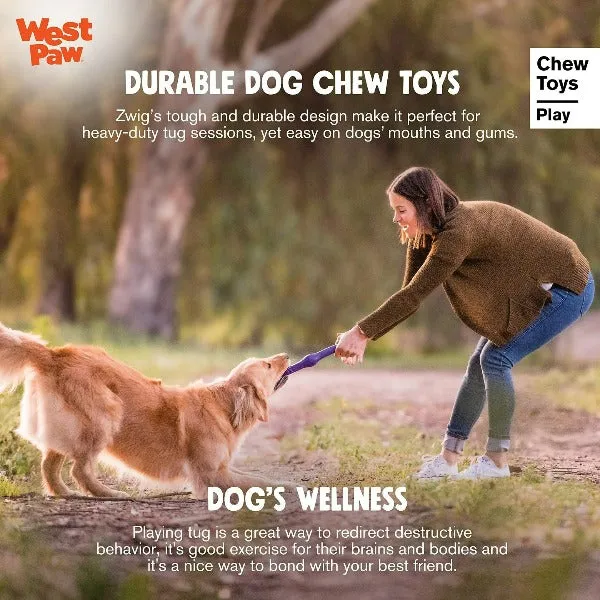 WEST PAW Zogoflex ZWIG Dog Chew Toy