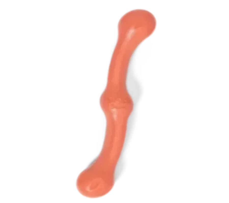 WEST PAW Zogoflex ZWIG Dog Chew Toy