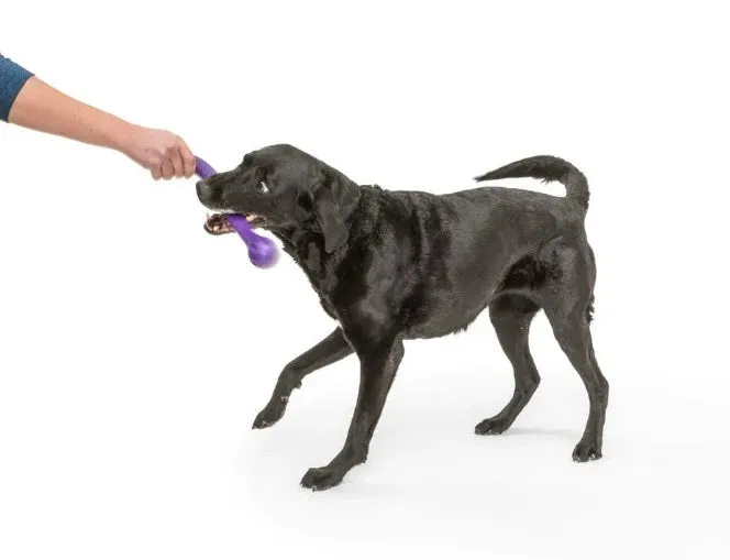 WEST PAW Zogoflex ZWIG Dog Chew Toy