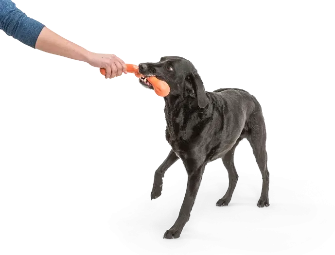 WEST PAW Zogoflex ZWIG Dog Chew Toy